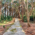 実際訪問したユーザーが直接撮影して投稿した西海町横瀬郷公園石原岳森林公園の写真