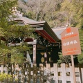 実際訪問したユーザーが直接撮影して投稿した雪ノ下神社白旗神社の写真