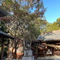 実際訪問したユーザーが直接撮影して投稿した頃末北神社伊豆神社の写真