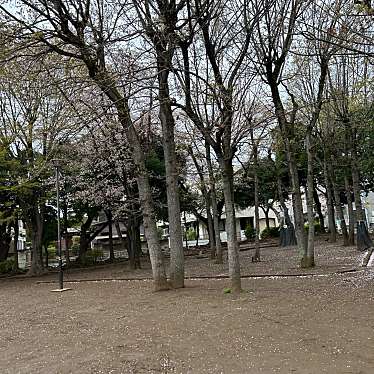 実際訪問したユーザーが直接撮影して投稿した常盤平公園はなみずき公園の写真