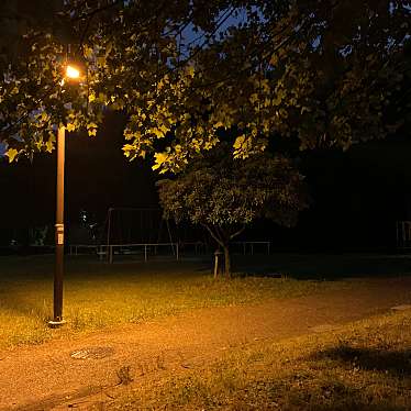 実際訪問したユーザーが直接撮影して投稿した牛牧公園ぼうけんランドの写真