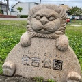 実際訪問したユーザーが直接撮影して投稿した住吉町公園住吉公園の写真