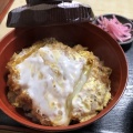 かつ丼 - 実際訪問したユーザーが直接撮影して投稿した将監うどんすが乃庵の写真のメニュー情報