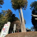 実際訪問したユーザーが直接撮影して投稿したしらさぎ神社白鷺神社の写真