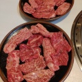 実際訪問したユーザーが直接撮影して投稿した羽鳥肉料理駒形屋の写真