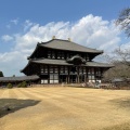 実際訪問したユーザーが直接撮影して投稿した雑司町寺東大寺 大仏殿の写真