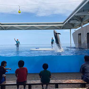 上越市立水族博物館 うみがたりのundefinedに実際訪問訪問したユーザーunknownさんが新しく投稿した新着口コミの写真