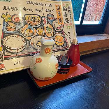 実際訪問したユーザーが直接撮影して投稿した久世豆腐料理白寿庵の写真