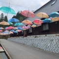 実際訪問したユーザーが直接撮影して投稿した粟津町陶芸 / クラフト加賀 伝統工芸村 ゆのくにの森の写真