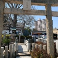 実際訪問したユーザーが直接撮影して投稿した中之町神社亀山八幡宮の写真