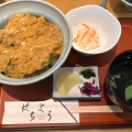 カツ丼 - 実際訪問したユーザーが直接撮影して投稿した高野山うどんはちようの写真のメニュー情報