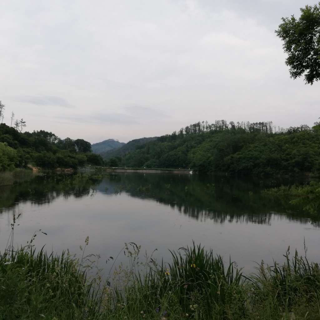 実際訪問したユーザーが直接撮影して投稿した河川田溝池の写真