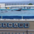 実際訪問したユーザーが直接撮影して投稿した石川水族館 / アクアリウムオキちゃん劇場の写真