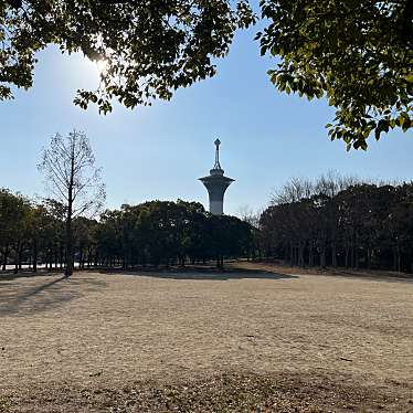 実際訪問したユーザーが直接撮影して投稿した緑地公園広場中央広場の写真