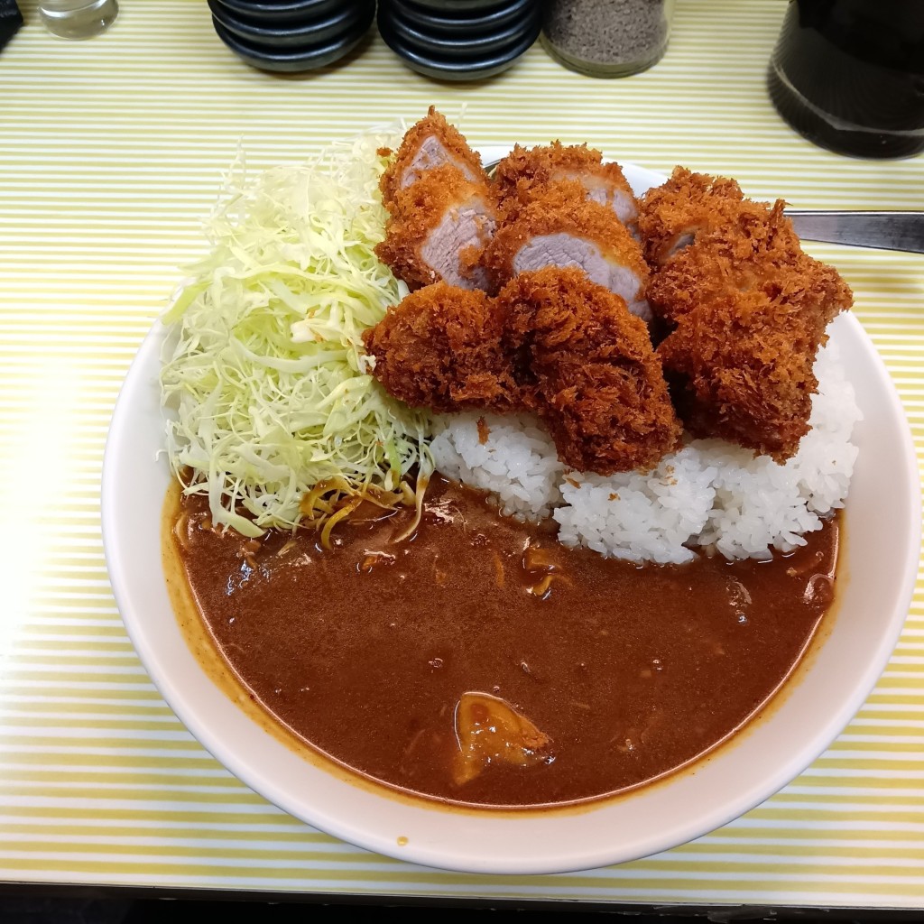 ユーザーが投稿したヒレカツカレーの写真 - 実際訪問したユーザーが直接撮影して投稿した蒲田カレーとんかつ檍のカレー屋いっぺこっぺの写真