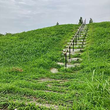 実際訪問したユーザーが直接撮影して投稿した才羽公園みはらしの丘の写真