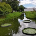 実際訪問したユーザーが直接撮影して投稿した今井町公園今井都市緑地の写真