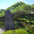 実際訪問したユーザーが直接撮影して投稿した大原野小塩町寺善峯寺の写真