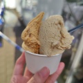ダブル - 実際訪問したユーザーが直接撮影して投稿した南二条西アイスクリームSorriso dell' Orsoの写真のメニュー情報