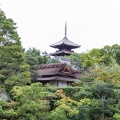 実際訪問したユーザーが直接撮影して投稿した御室大内寺仁和寺の写真