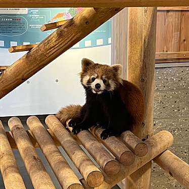 鯖江市 西山動物園のundefinedに実際訪問訪問したユーザーunknownさんが新しく投稿した新着口コミの写真