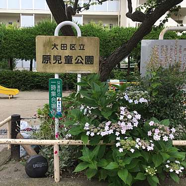 実際訪問したユーザーが直接撮影して投稿した多摩川公園原児童公園の写真