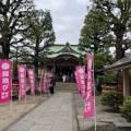 実際訪問したユーザーが直接撮影して投稿した今戸神社今戸神社の写真