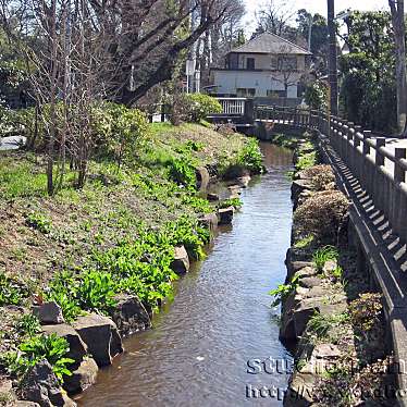 千川上水遊歩道のundefinedに実際訪問訪問したユーザーunknownさんが新しく投稿した新着口コミの写真