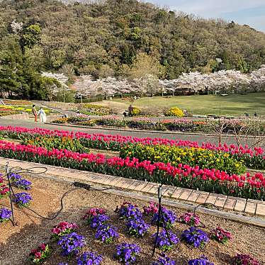 和歌山県植物公園 緑花センターのundefinedに実際訪問訪問したユーザーunknownさんが新しく投稿した新着口コミの写真