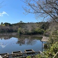 実際訪問したユーザーが直接撮影して投稿した龍安寺御陵ノ下町寺龍安寺の写真