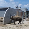 実際訪問したユーザーが直接撮影して投稿した大岩町動物園豊橋総合動植物公園の写真