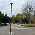 実際訪問したユーザーが直接撮影して投稿した反町公園反町公園の写真