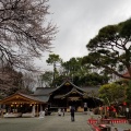 実際訪問したユーザーが直接撮影して投稿した平沢神社出雲大社相模分祠の写真