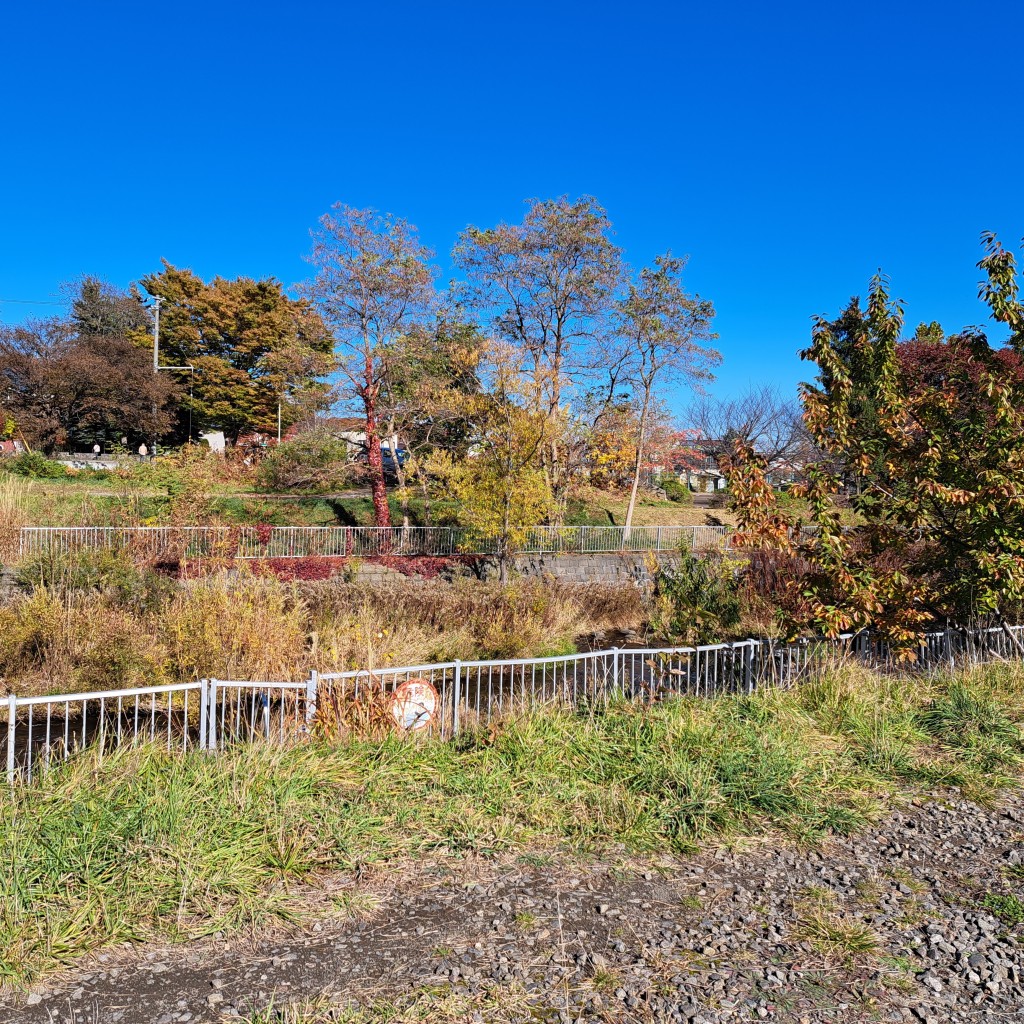実際訪問したユーザーが直接撮影して投稿した平和一条公園平和風の子橋公園の写真