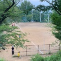 実際訪問したユーザーが直接撮影して投稿した宮崎公園宮崎第一公園の写真