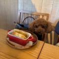 実際訪問したユーザーが直接撮影して投稿した台場カフェDOG DEPT CAFE お台場東京ビーチ店の写真