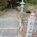 実際訪問したユーザーが直接撮影して投稿した加茂町神社お松大権現の写真