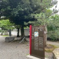 実際訪問したユーザーが直接撮影して投稿した郭町地域名所おあむの松の写真