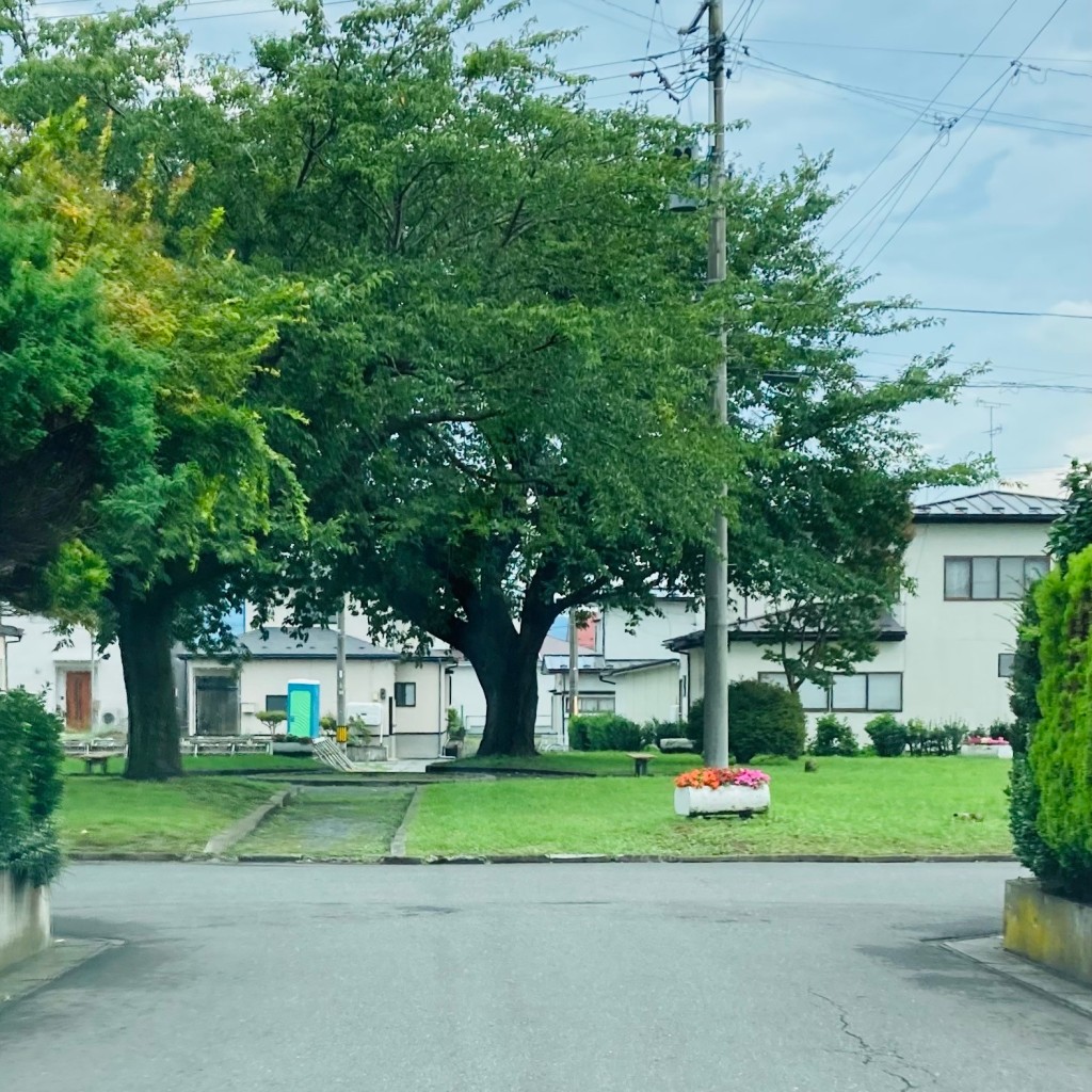 実際訪問したユーザーが直接撮影して投稿した新井田公園長宝野緑地の写真