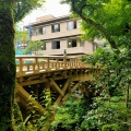 実際訪問したユーザーが直接撮影して投稿した山中温泉こおろぎ町地域名所こおろぎ橋の写真