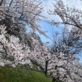 実際訪問したユーザーが直接撮影して投稿した公園町公園豊公園の写真