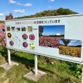 実際訪問したユーザーが直接撮影して投稿した茨ケ廻間公園愛・地球博記念公園(モリコロパーク)の写真