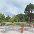 実際訪問したユーザーが直接撮影して投稿した高向植物園 / 樹木園大阪府立花の文化園の写真