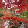 実際訪問したユーザーが直接撮影して投稿した上矢田町神社鍬山神社の写真