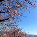 実際訪問したユーザーが直接撮影して投稿した松田惣領公園西平畑公園の写真