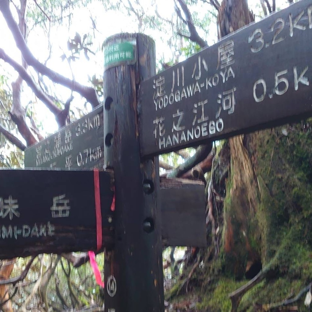 実際訪問したユーザーが直接撮影して投稿した山 / 峠黒味岳の写真