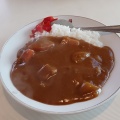 カレー - 実際訪問したユーザーが直接撮影して投稿した南町定食屋塩子屋食堂の写真のメニュー情報