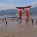 実際訪問したユーザーが直接撮影して投稿した宮島町神社嚴島神社 参拝入口の写真