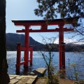 実際訪問したユーザーが直接撮影して投稿した元箱根神社箱根神社の写真