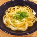  かけうどん - 実際訪問したユーザーが直接撮影して投稿した代々木うどんうどん 慎の写真のメニュー情報